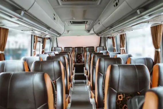 force_traveller_27_seater (3)